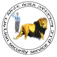 Lion Security Service  PLC