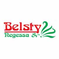 Belsty Negessa and His Children Trading Plc