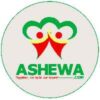 Ashewa Technology Solutions S.C
