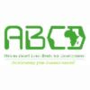 African Based Consultants for Development [ABCD] PLC